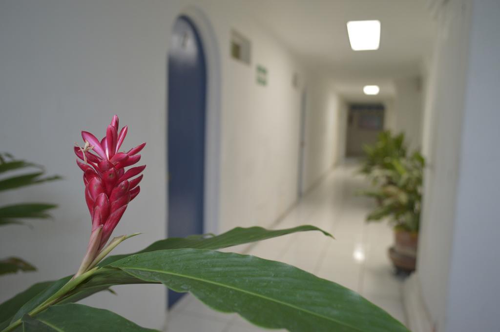 Casa Del Sol Daire Santa Cruz Huatulco Dış mekan fotoğraf